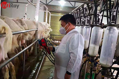낙농 산업에서 열 카메라의 응용: 낙농 소와 염소의 질병을 신속하게 발견하기 위해