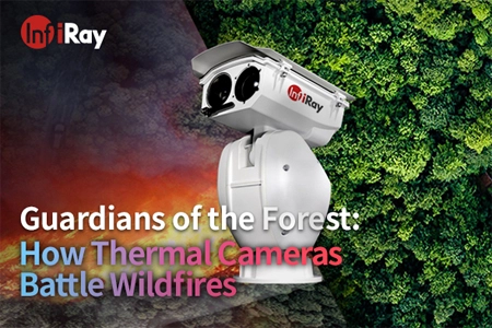 숲의 수호자: 열 카메라가 산불과 싸우는 방법