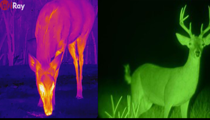 01_difference_between_thermal_imaging_and_night_vision.png